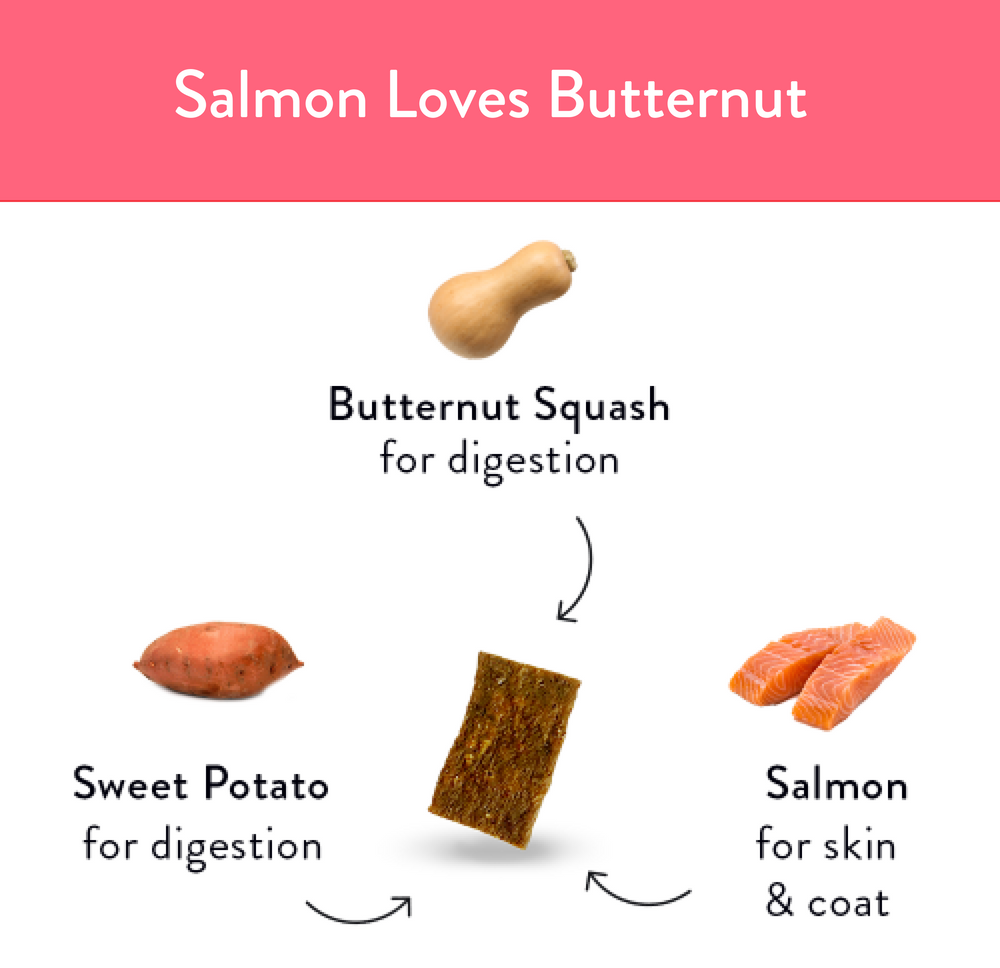 Shameless Pet Salmon Loves Butternut Jerky Bites  Dog Treat