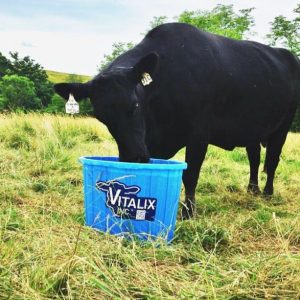 Vitalix #4 All Natural 22 Supplement