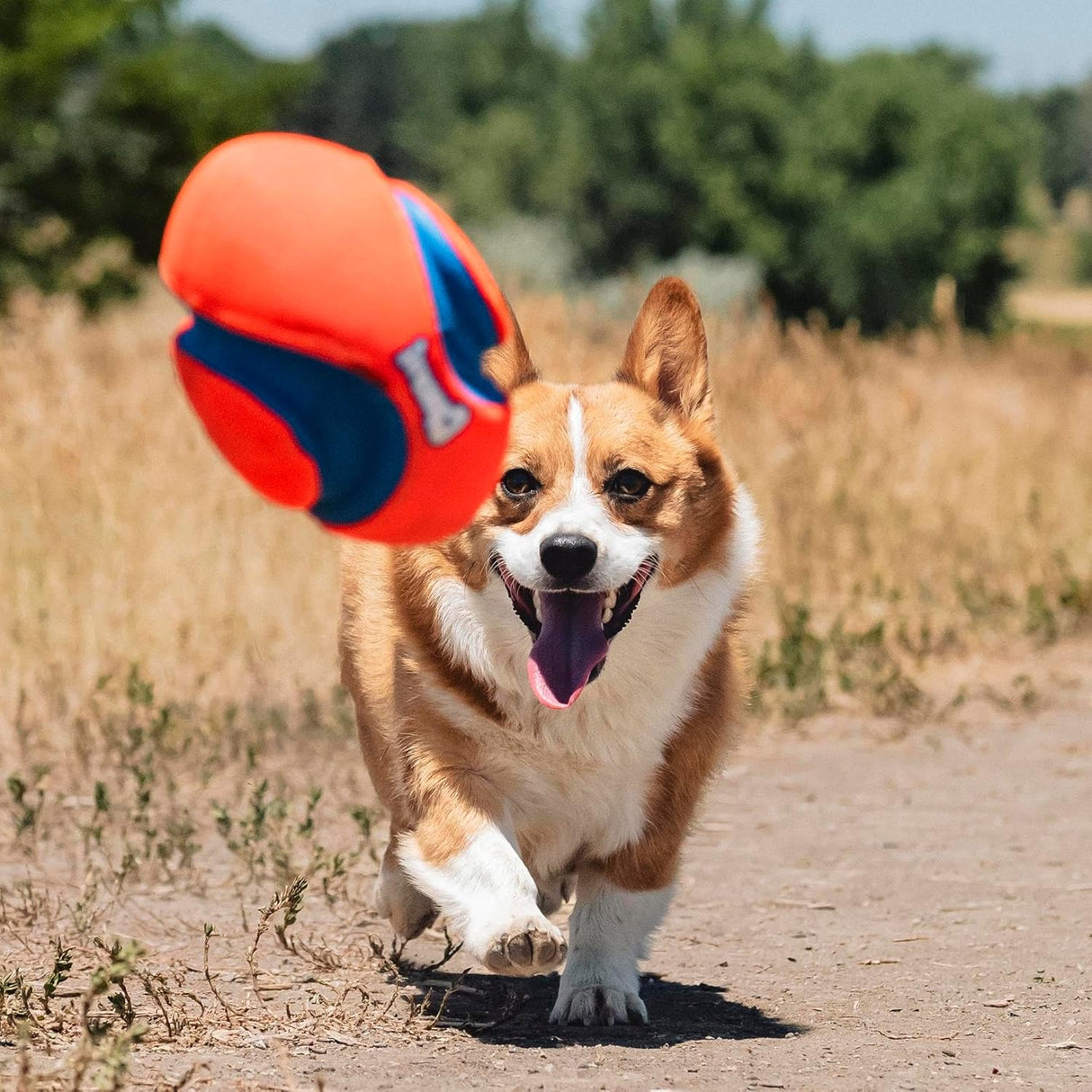 Chuckit! Fumble Fetch Football Dog Toy - Small