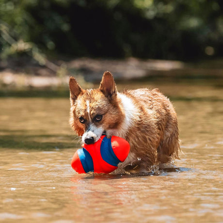 Chuckit! Fumble Fetch Football Dog Toy - Small