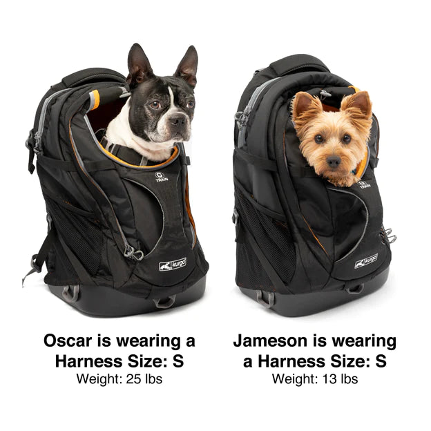 Kurgo G Train Dog Carrier Backpack JAXOutdoorGearFarmandRanch