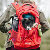 Kurgo G-Train Dog Carrier Backpack Chili Red