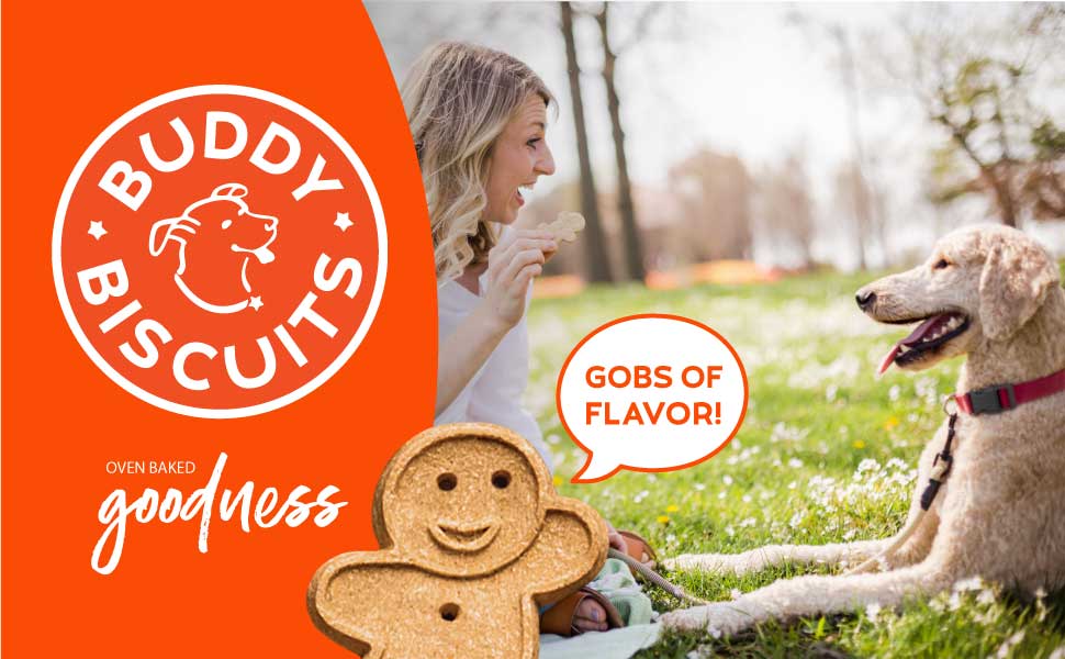 Buddy Biscuit Grain Free Oven Baked Dog Treats (Peanut Butter) - 14oz