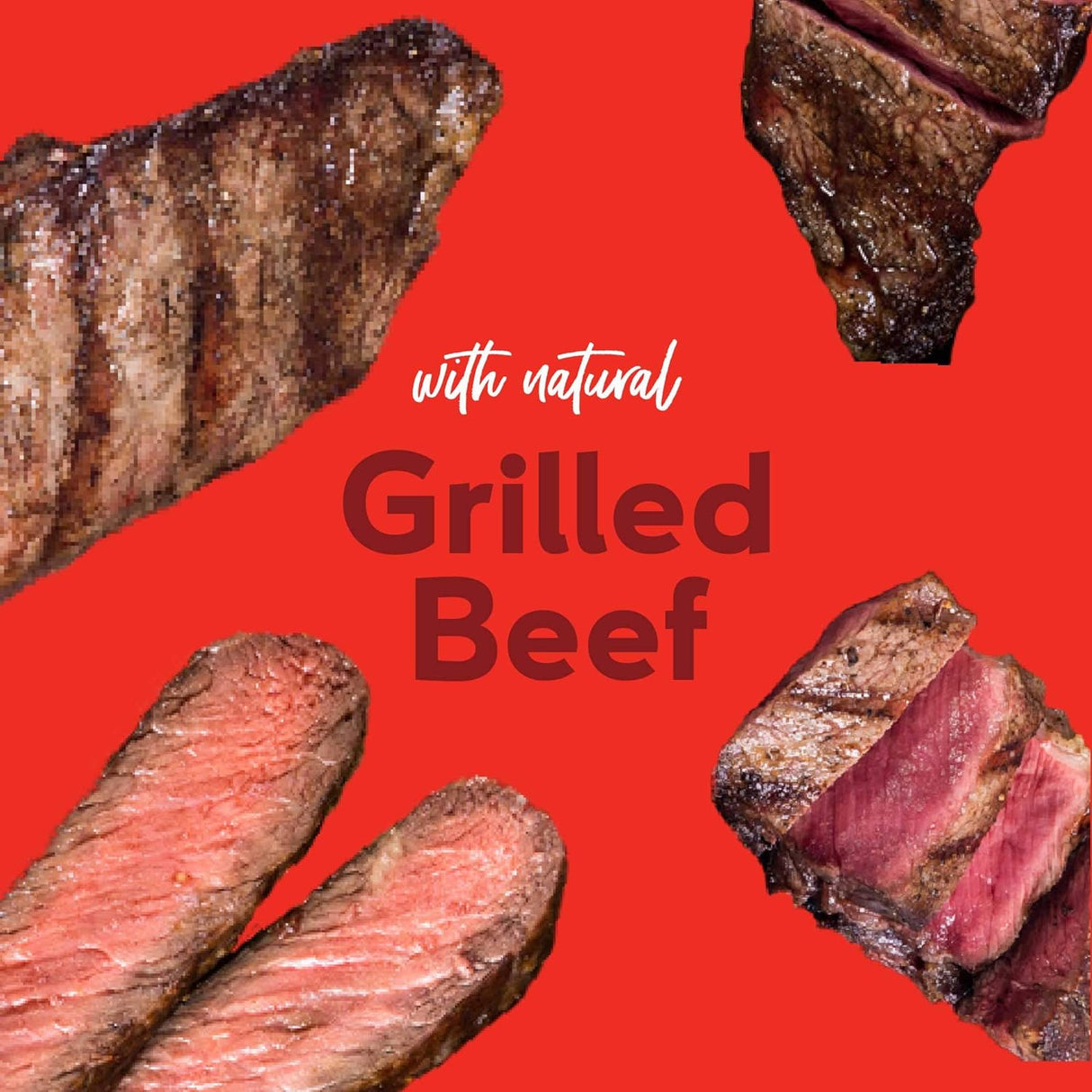 Buddy Biscuit Grain Free Soft & Chewy Treats (Grilled Beef) - 5oz