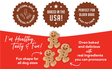 Buddy Biscuit Grain Free Soft & Chewy Treats (Grilled Beef) - 5oz