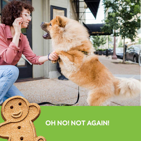 Buddy Biscuit Grain Free Soft & Chewy Treats (Roasted Chicken) - 5oz