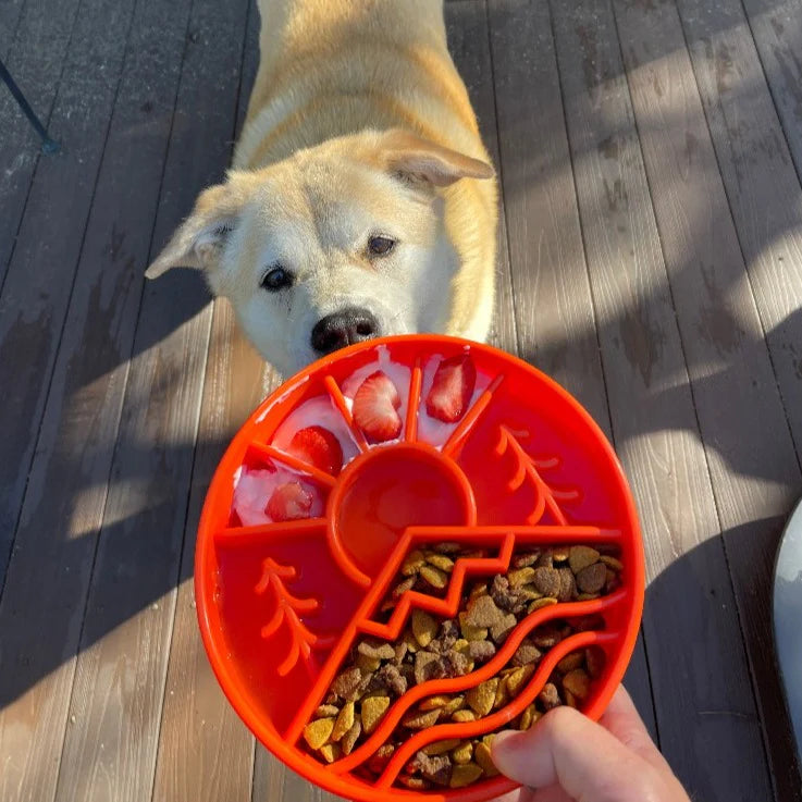 SodaPup Great Outdoors Design Slow Feeder Bowl for Dogs - Orange