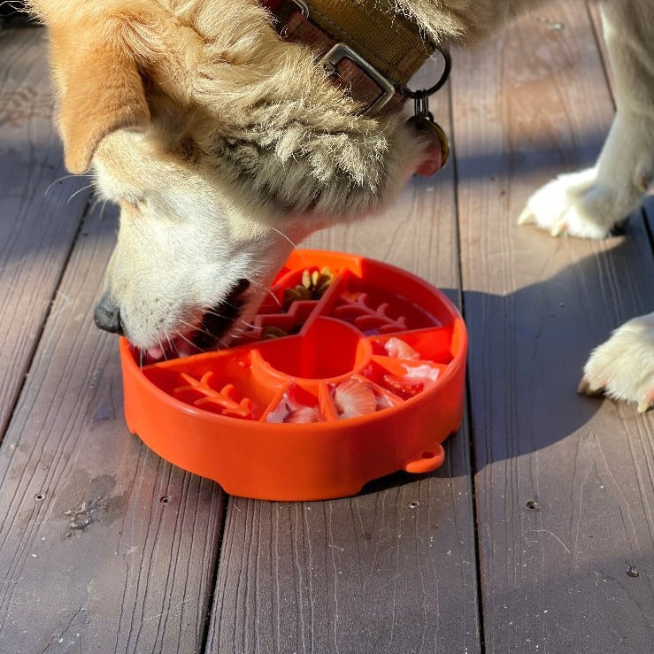 SodaPup Great Outdoors Design Slow Feeder Bowl for Dogs - Orange