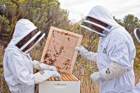 Harvest Lane Honey Beekeeping Goat Skin Gloves