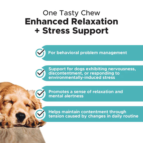 Pet Honesty Hemp Calming Max Strength Supplement Chews - Duck