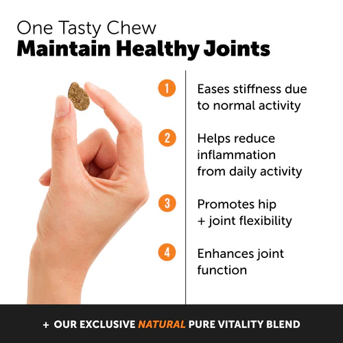 Pet Honesty Hemp Hip + Joint Health Senior Supplement Chews - Chicken