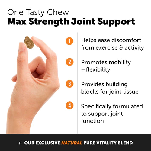 Pet Honesty Hip + Joint Health Max Strength Supplement Chews - Hickory Bacon