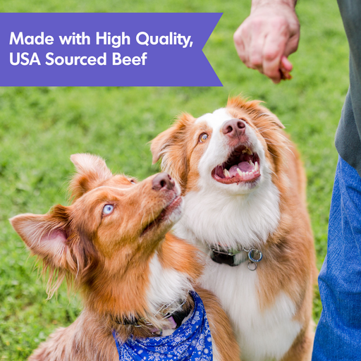 Dogswell Hip & Joint Jerky Dog Treats (Beef Recipe) - 12oz