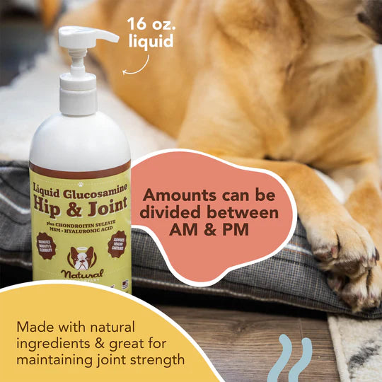 Natural Dog Company Hip & Joint Oil with Glucosamine - 16oz