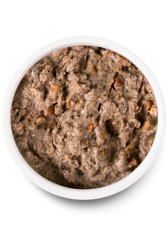 Open Farm Homestead Beef Rustic Stew Wet Dog Food - 12.5oz