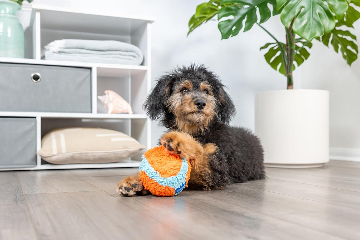 Chuckit! Indoor Ball Dog Toy - Orange / Blue