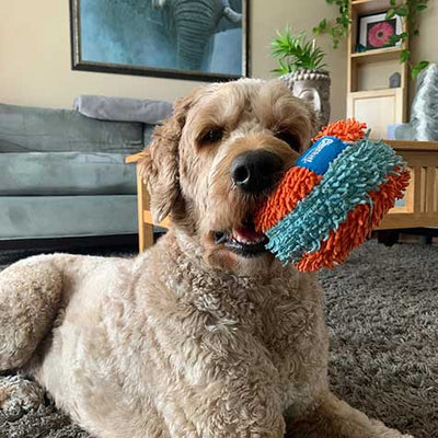 Chuckit! Indoor Roller Dog Toy - Orange / Blue