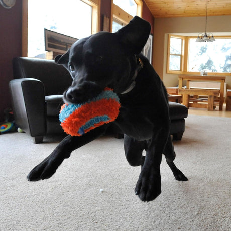 Chuckit! Indoor Roller Dog Toy - Orange / Blue