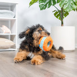 Chuckit! Indoor Roller Dog Toy - Orange / Blue