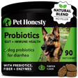 Pet Honesty Probiotics Gut + Immune Health Supplement Chews - Pumpkin Pumpkin