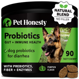 Pet Honesty Probiotics Gut + Immune Health Supplement Chews - Pumpkin Pumpkin