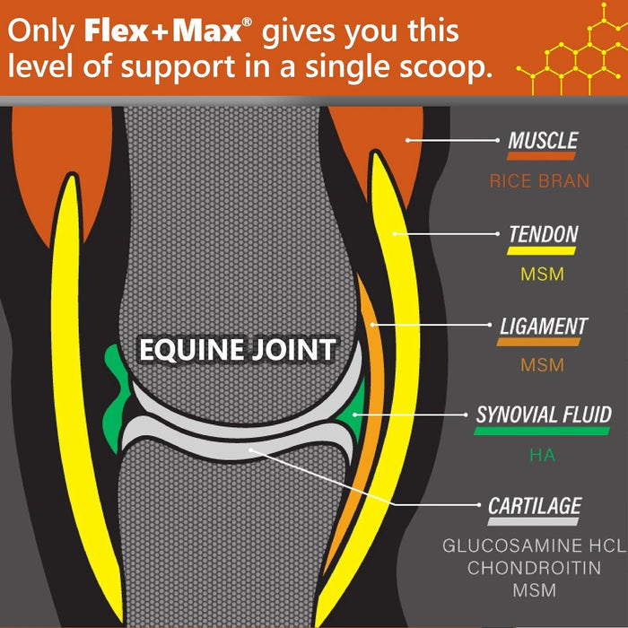 Absorbine Flex+Max Joint Health Supplement Pellets - 10lb.