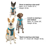 Kurgo Journey Air Dog Harness