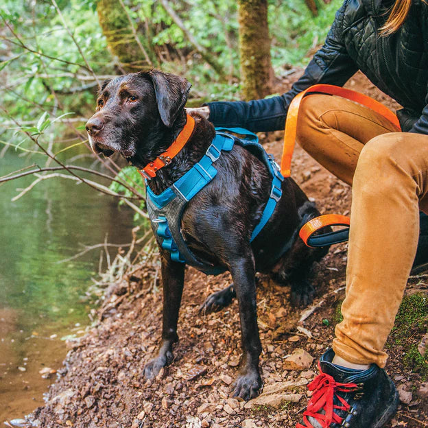 Kurgo Journey Air Dog Harness