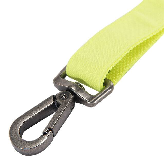 Carhartt Journeyman Nylon Duck Dog Leash