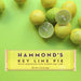 Hammond's Candies Key Lime Pie White Chocolate Bar