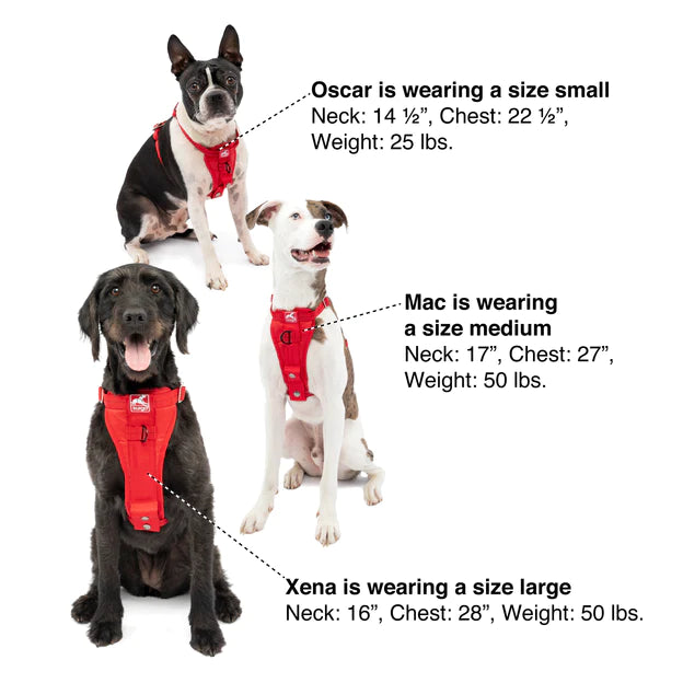 Kurgo Enhanced Strength Tru-Fit Dog Car Harness