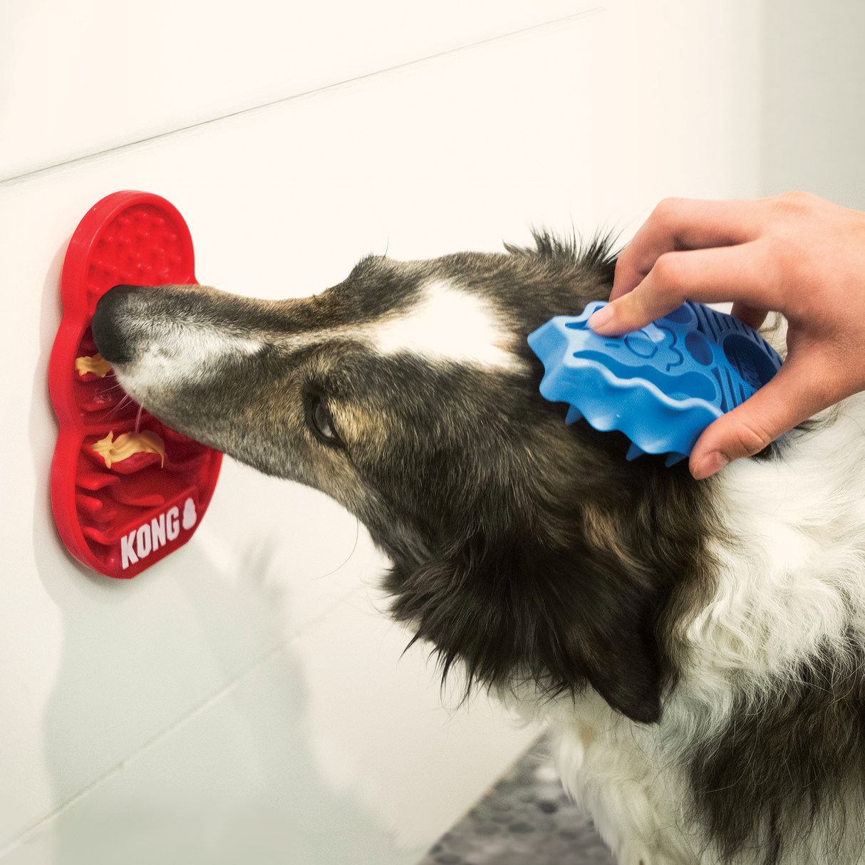 Kong Licks Treat Dispenser - Small