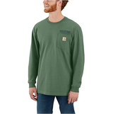 Carhartt Loose Fit Heavyweight Long-Sleeve Rocky Mountain National Park Graphic T-Shirt - Frosted Balsam