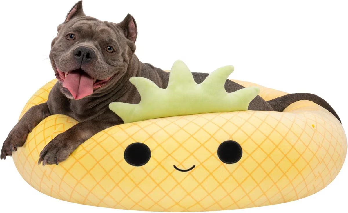 Squishmallows Maui The Pineapple Pet Bed - Medium / Large