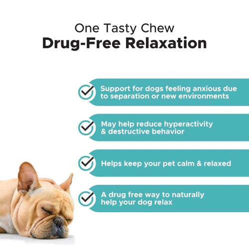 Pet Honesty Melatonin Calming Max Strength Supplement Chews - Turkey