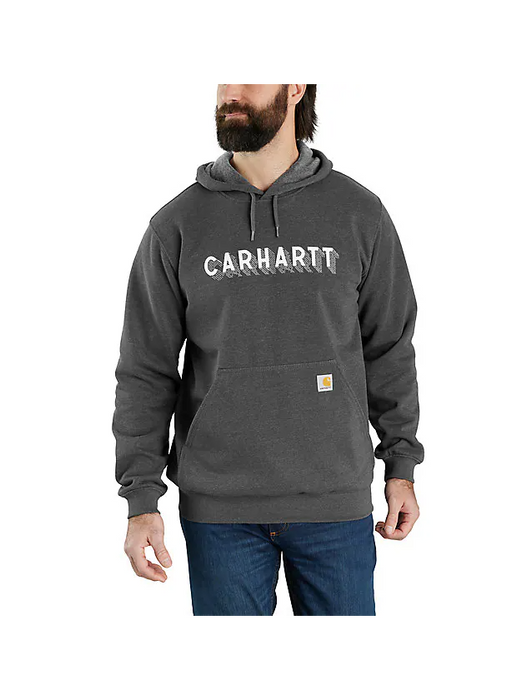 Carhartt graphic hoodie deals