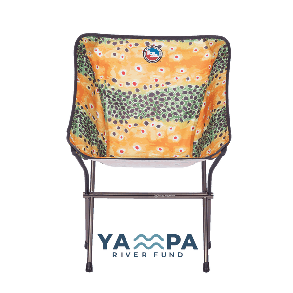 Big Agnes Mica Basin Camp Chair - Brown Trout Brown trout