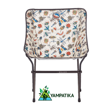 Big Agnes Mica Basin Camp Chair - Bugs Bugs