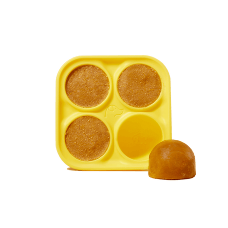 Woof Pet Pupsicle Treat Tray - Small Yellow