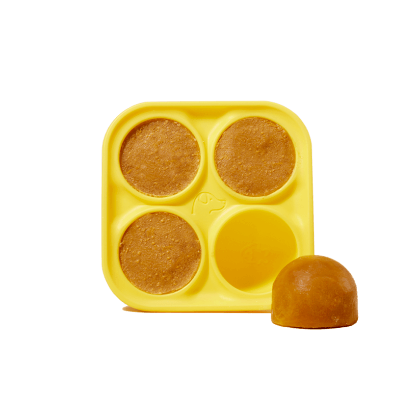 Woof Pet Pupsicle Treat Tray - X-Large Yellow