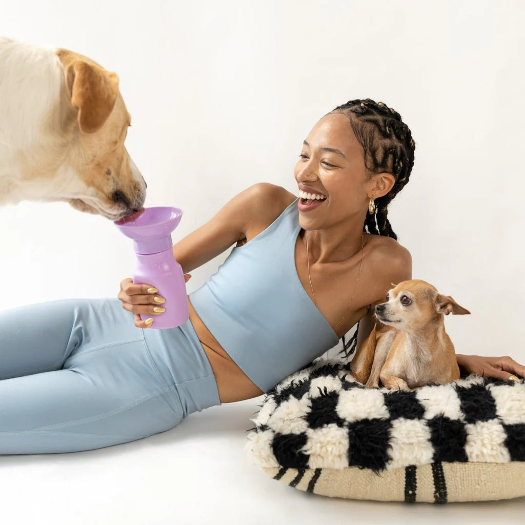 Springer Pets Mini Dog Travel Bottle 15oz - Lilac