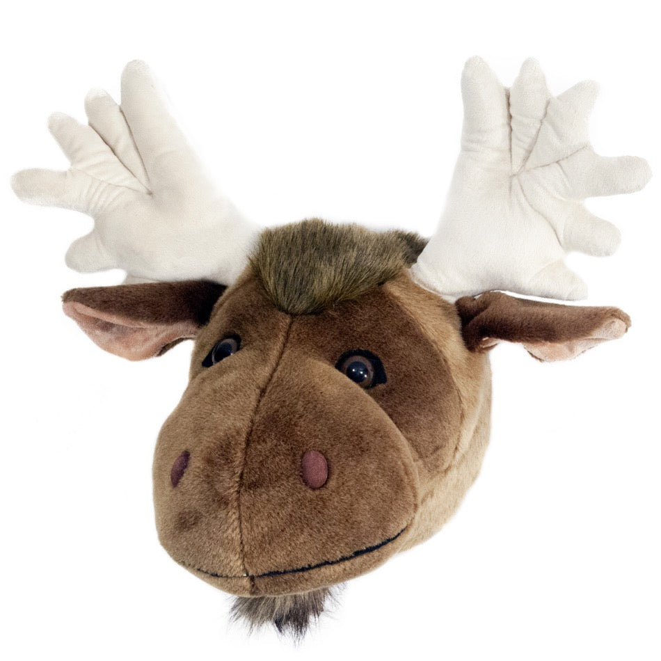 Large Trophy Head Moose