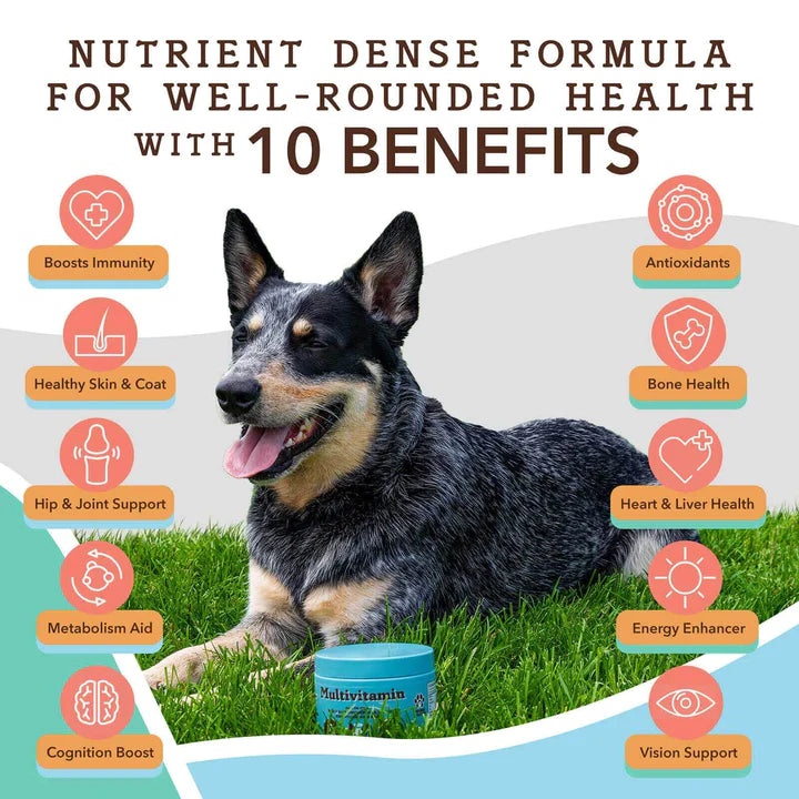 Natural Dog Company Multivitamin Supplement - 90 Chews