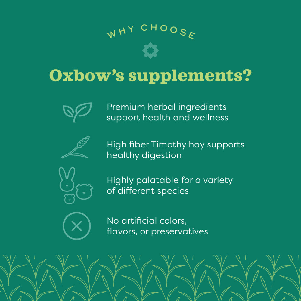 Oxbow Animal Health Natural Science Vitamin C Support Supplement - 4.2oz.