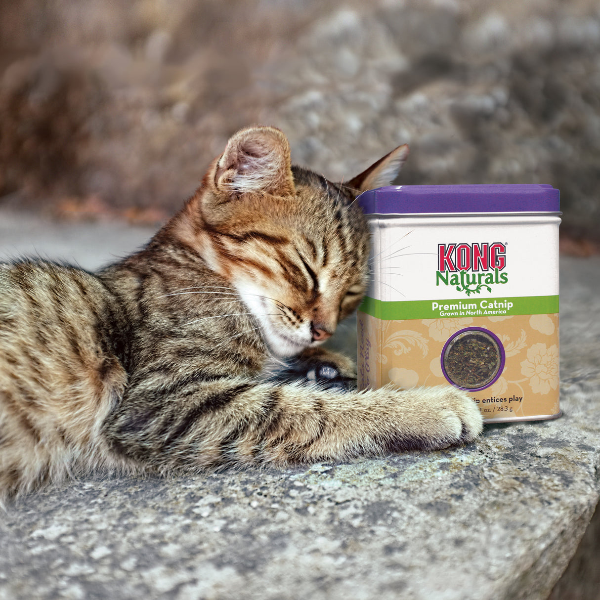 Kong Naturals Premium Catnip - 1oz.