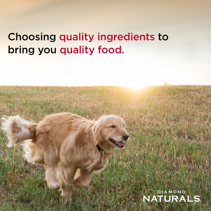 Diamond Pet Foods Naturals Small Breed Adult Dog Food (Lamb & Rice Formula) - 18lb