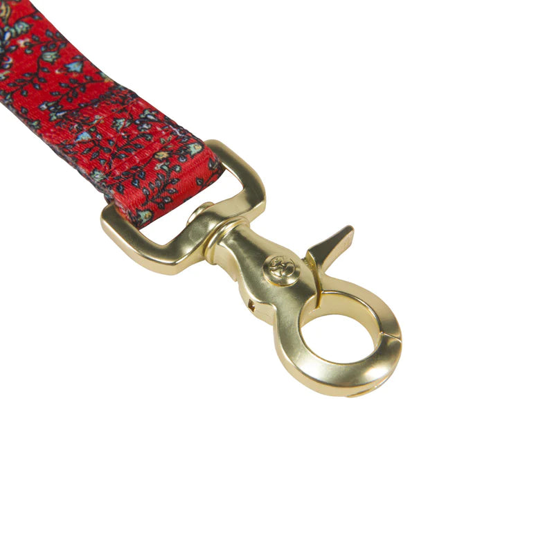 Hooey Nomad Leash