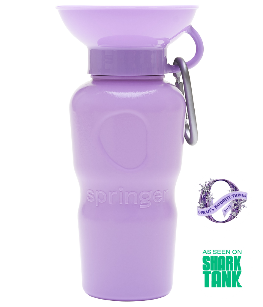 Springer Pets Classic Dog Travel Bottle 22oz - Lilac Lilac