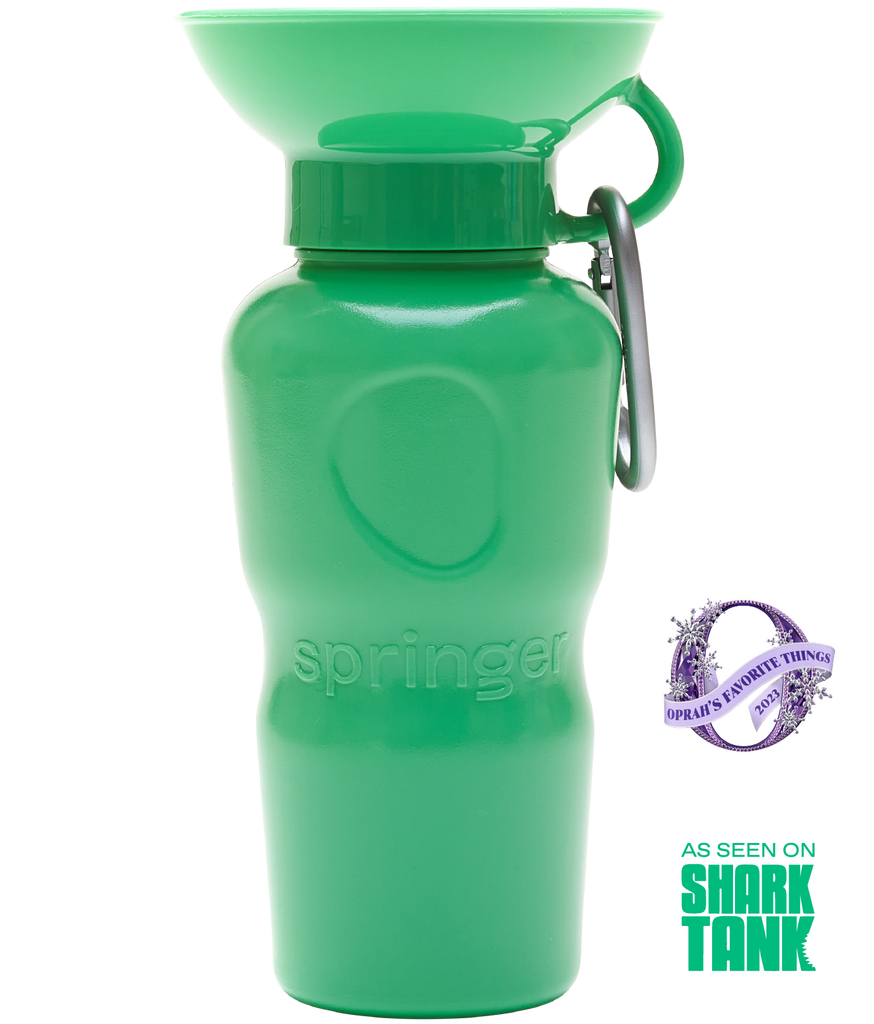 Springer Pets Classic Dog Travel Bottle 22oz - Springer Green Springer Green