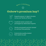 Oxbow Animal Health Organic Meadow Hay - 15oz.